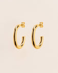 Wouters & Hendrix Chain Link Hoops in Gold