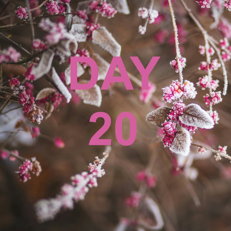 ADVENT SALE DAY 20: INDRESS ALICE SWEATER