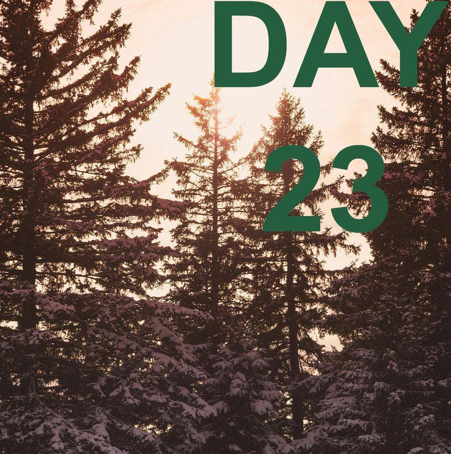 ADVENT SALE DAY 23- INSTANT REPLAY - 50% OFF