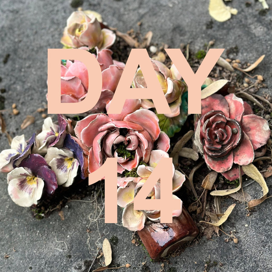 ADVENT SALE DAY 14