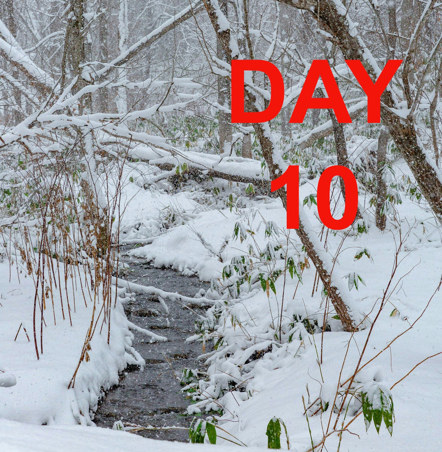 ADVENT DAY 10
