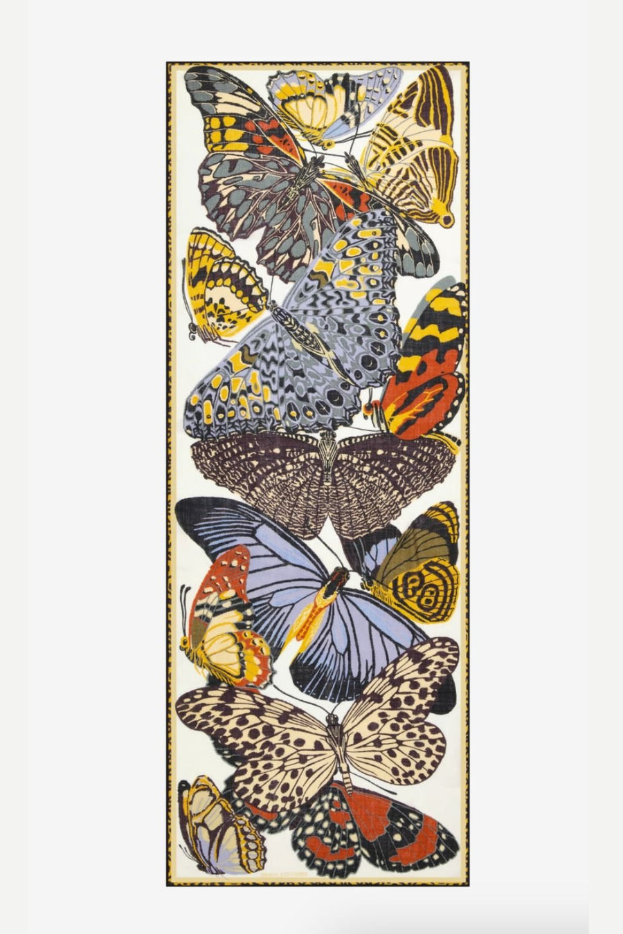 INOUI EDITIONS - 70 Papillons Scarf in White