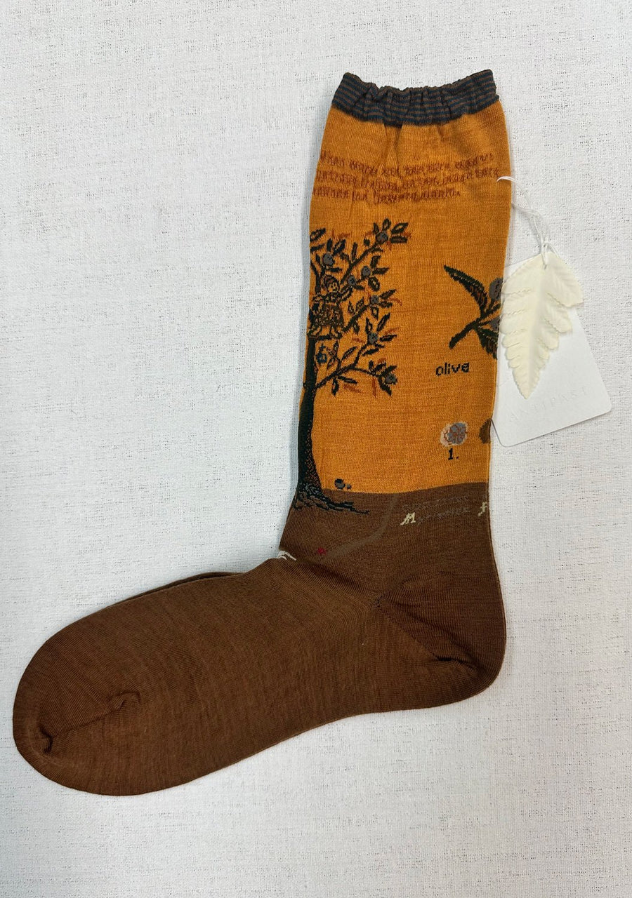 ANTIPAST -  Olive Harvest Socks in Mustard