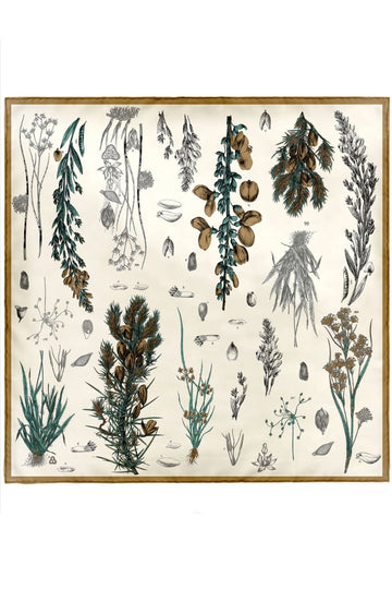 MANIPURI - Botany Scarf in Off-White