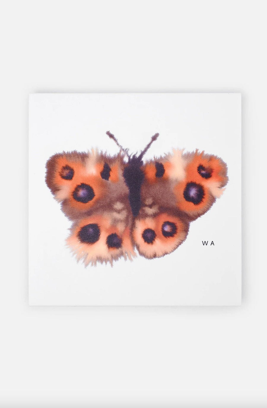 W.I.L.D. A.N.I.M.A.L.S. - Butterfly Scarf in White