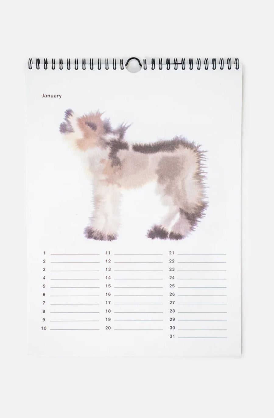 W.I.L.D. A.N.I.M.A.L.S. - Calendar
