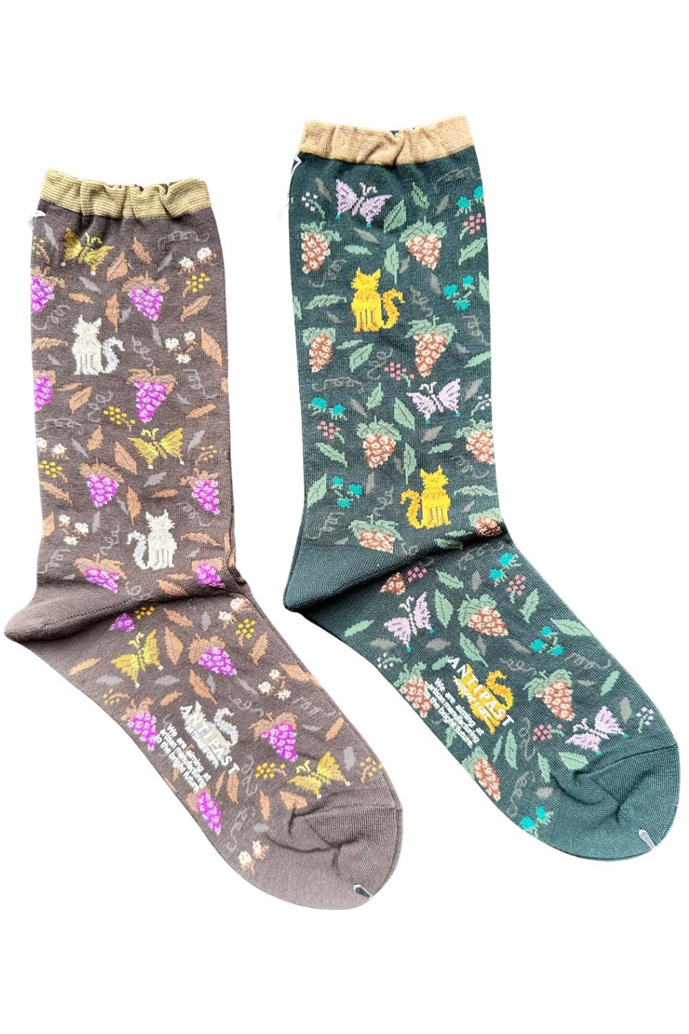 ANTIPAST -  Garden Cats Socks