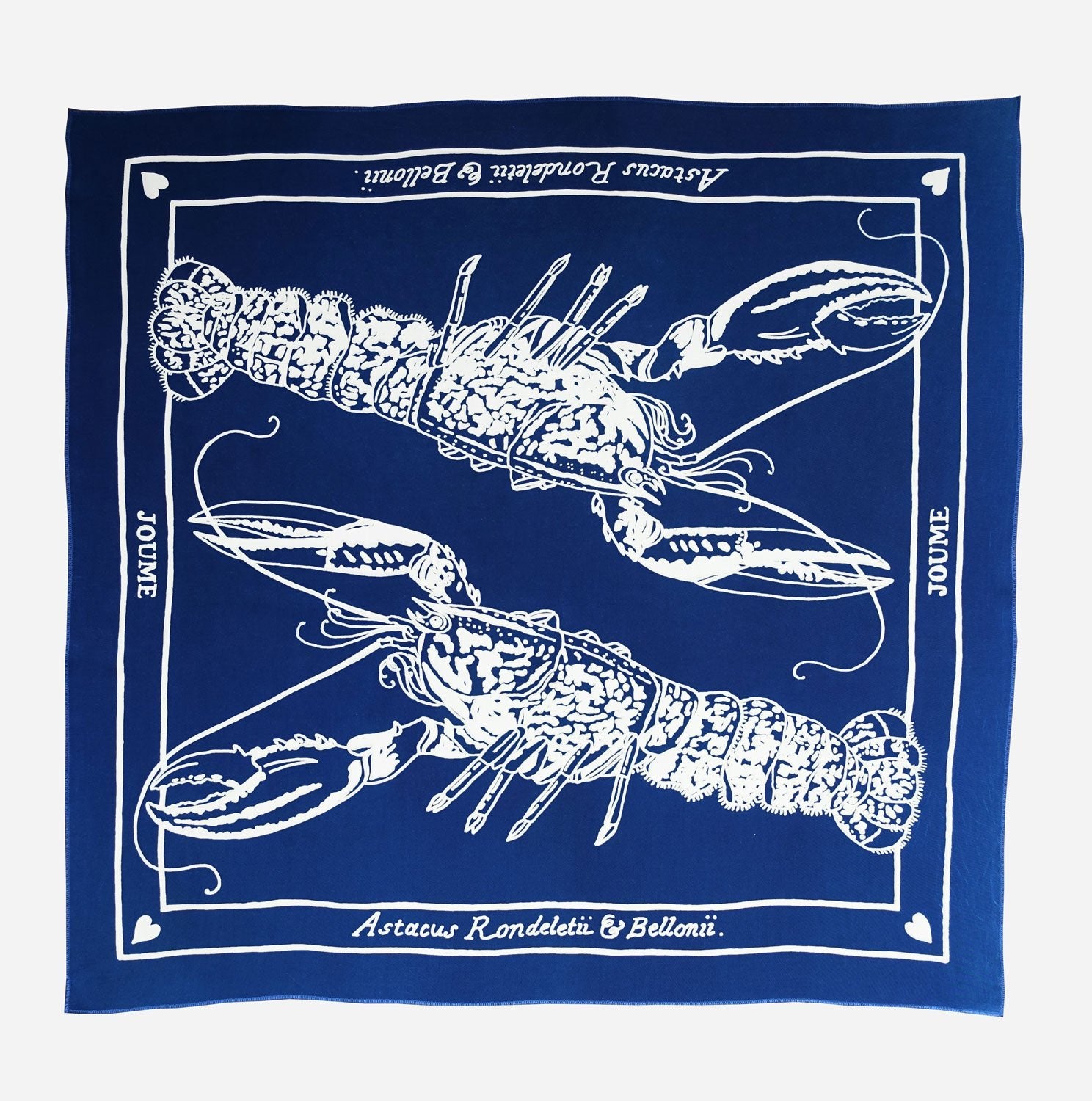 JOUME ATELIER - Cotton Square Astacus Scarf in Blue