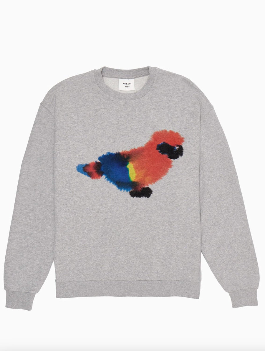 W.I.L.D. A.N.I.M.A.L.S. - Parrot Sweatshirt in Grey