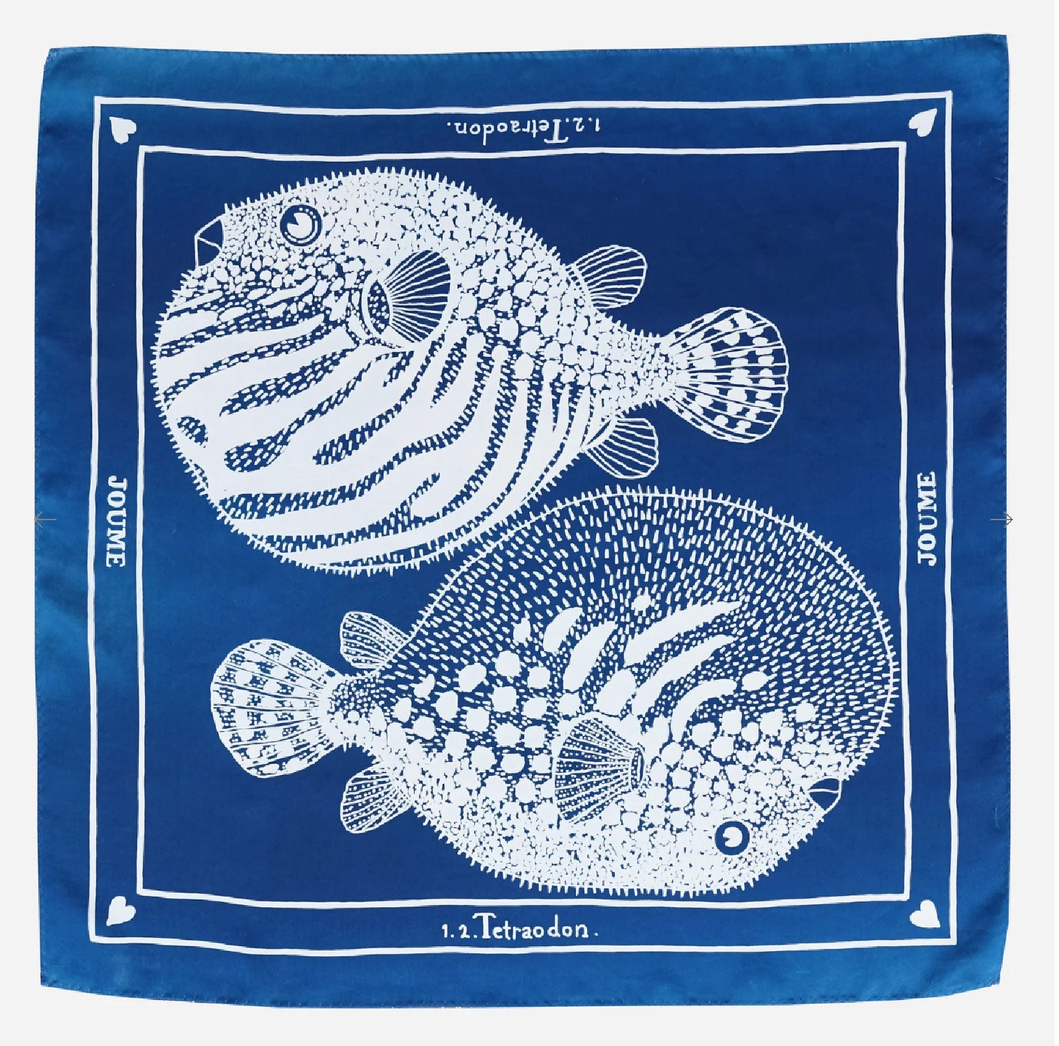 JOUME ATELIER - Square Cotton Tetraodon Scarf in Blue