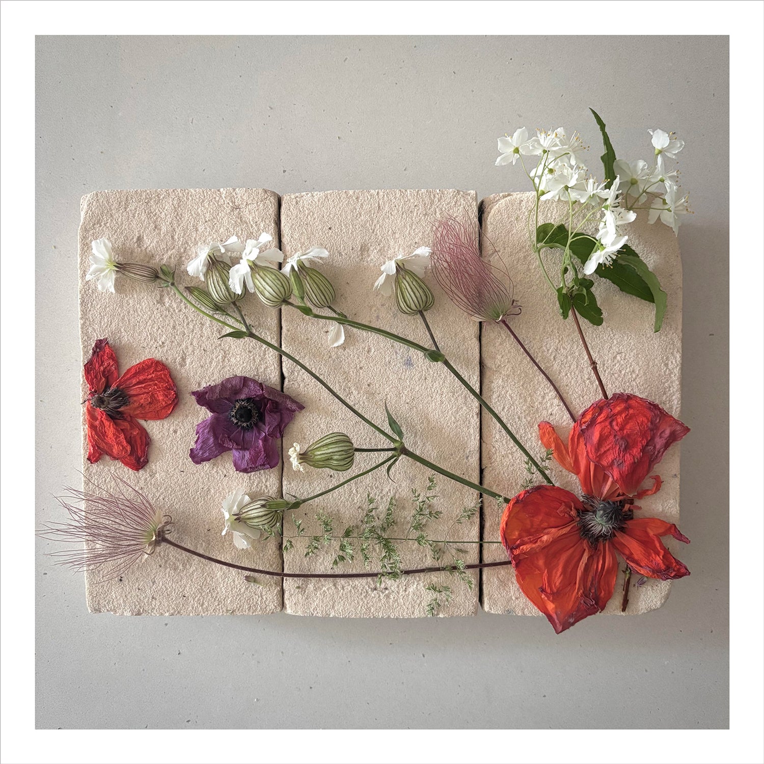 FLOWERS ON BRICKS - Poppy Flowers Card