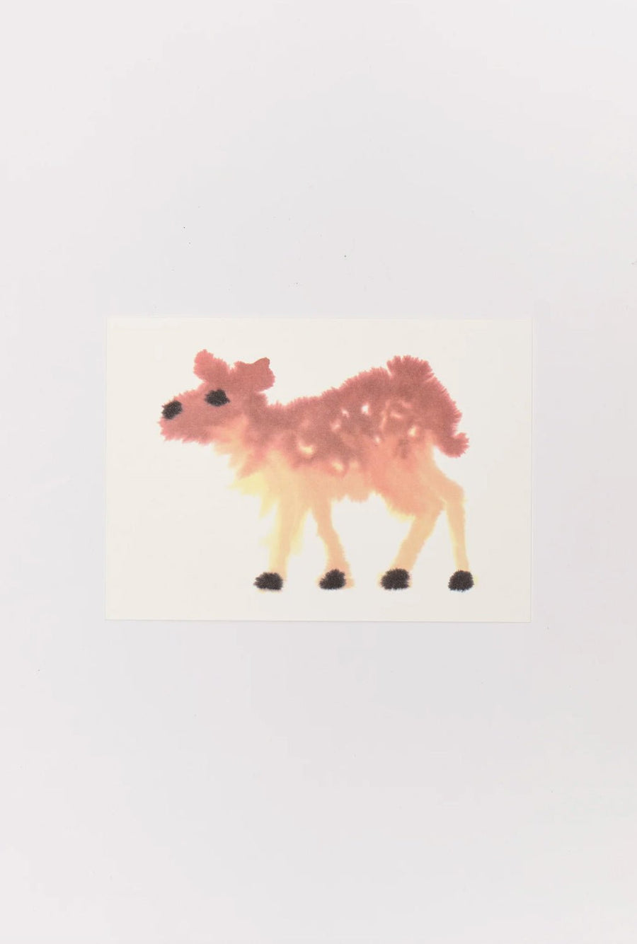 W.I.L.D. A.N.I.M.A.L.S. - Set of 10 Animal Postcards