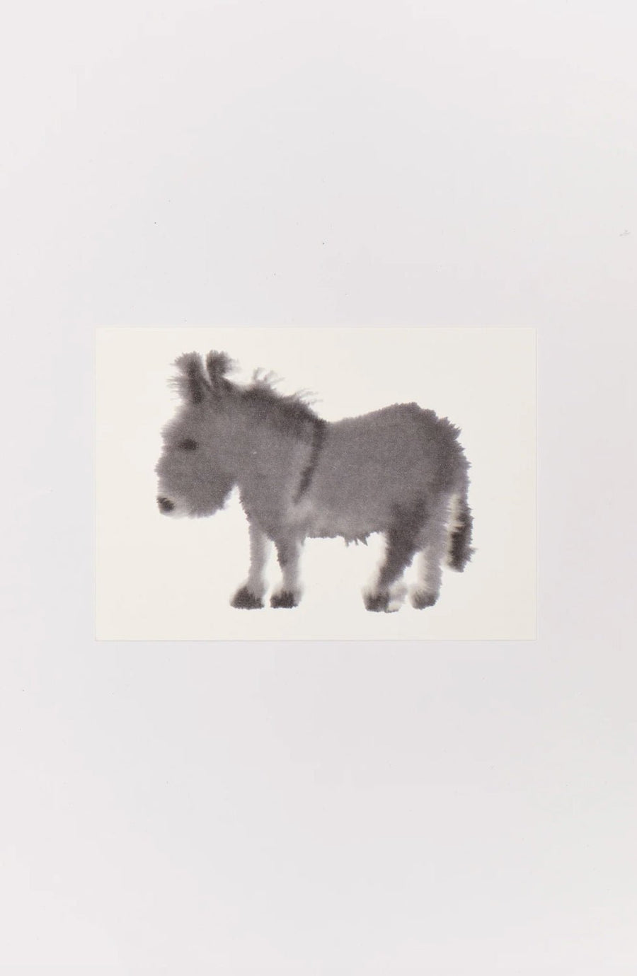 W.I.L.D. A.N.I.M.A.L.S. - Set of 10 Animal Postcards