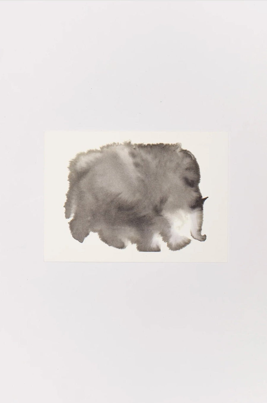 W.I.L.D. A.N.I.M.A.L.S. - Set of 10 Animal Postcards