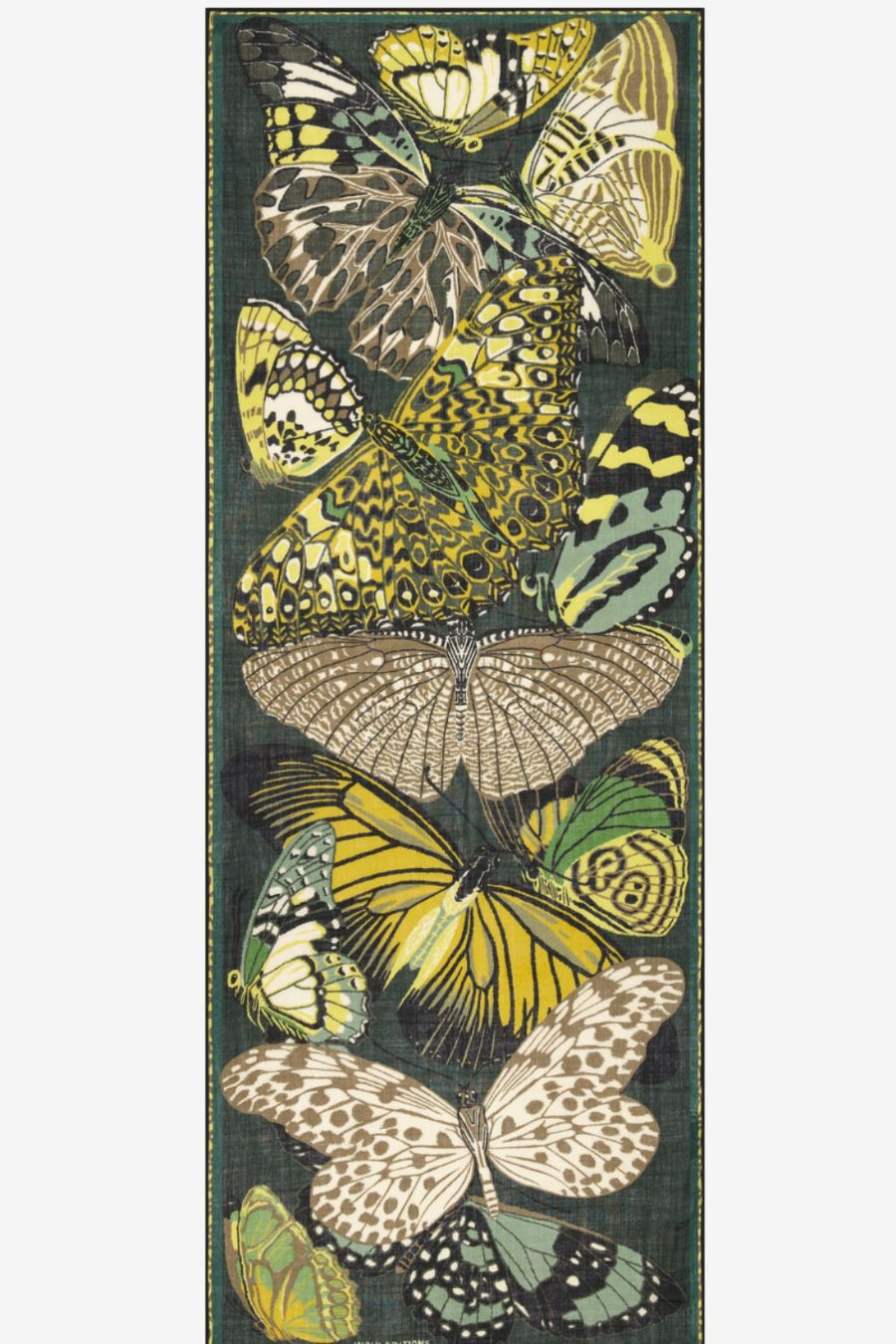 INOUI EDITIONS - 70 Papillons Scarf in Emerald