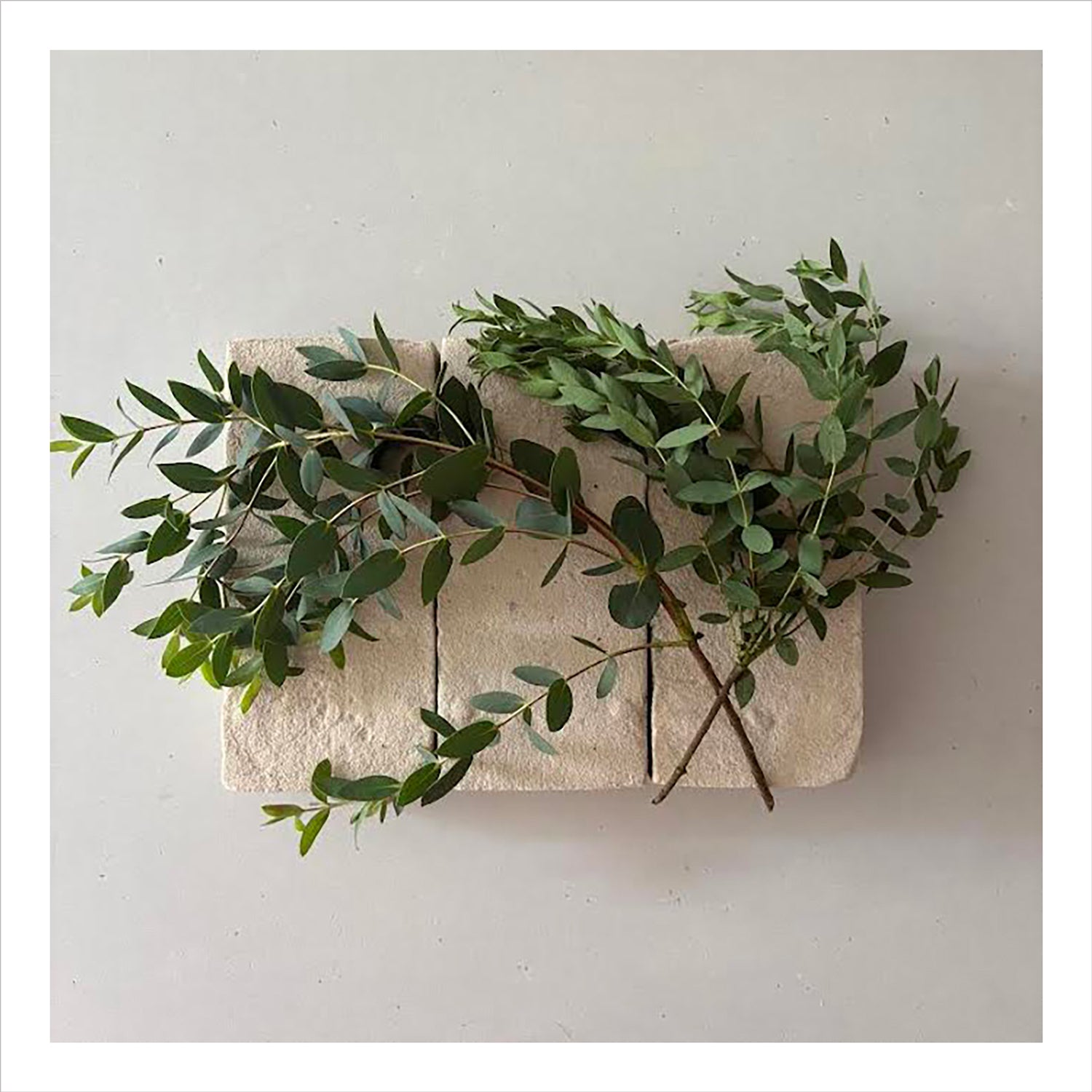 FLOWERS ON BRICKS - Myrtle Card